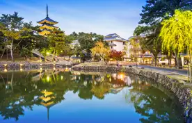 Sarusawa Pond surrounded by trees and walking pathways, steeples of temples can be seen above the tree line