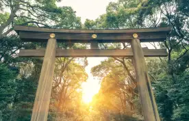 Meiji Shrine at sunset in yoyogi park, Harajuku tokyo