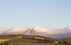 Landscape in Stellenbosch, Western Cape, South Africa, at sunset.