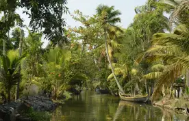 Palm tree lined canal in Kerala state with a small, wooden fishing boat
