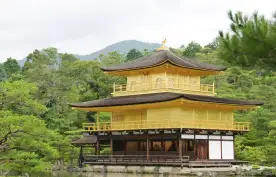 Golden ornate Japanese temple by the waterside and surrounded by green forests, Japan