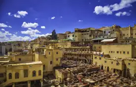 Traditional leather tannery in the medina in Fez, Morocco