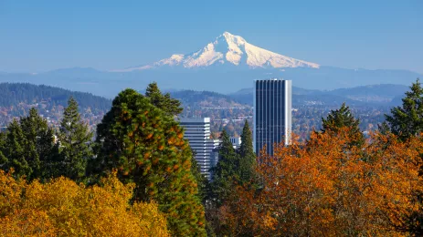 Orange and yellow trees obsucring the high rises of Portland with the snow capped peak of mt hood in the distance against a blue sky