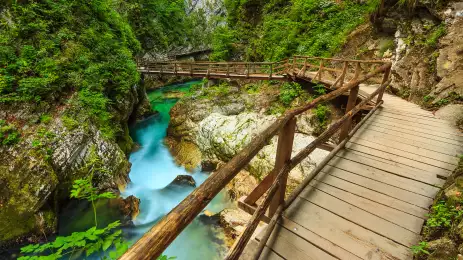 Wooden footpath bridge and green river at the Vintgar Canyon in Slovenia