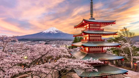 Mount Fuji in Spring with Cherry Blossoms