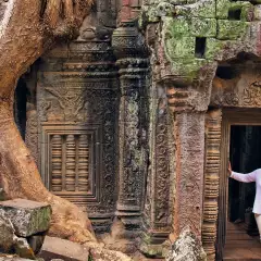 Image of a woman looking up in the ruins of an ancient temple in the rainforest