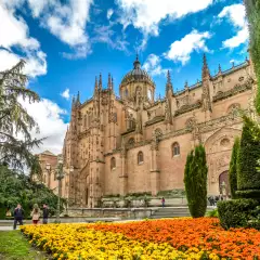 Colourful flowers in front of the Cathedral of Salamanca in Spain