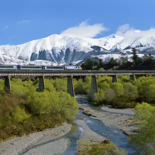 Tranz Alpine train near Springfield Canterbury New Zealand