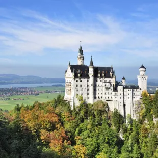 Aerial of Neuschwanstein castle surrounded by vegetation in Bavaria, Germany
