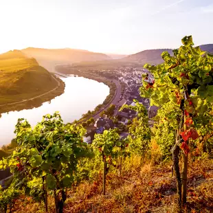 Sunrise at the Moselle river bend over the village Bremm, Germany