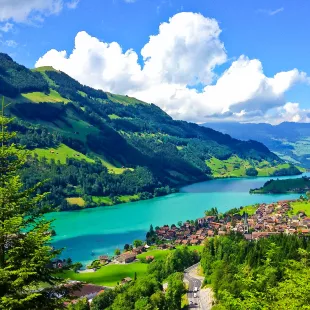 A scenic view or Swiss countryside as seen from a passing train