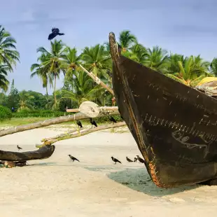 Traditional fishing boat on the Goa beach and palm trees in India
