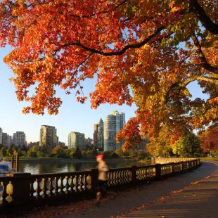 An early morning jogger on the Stanley Park Seawall in autumn. Vancouver, British Columbia, Canada.