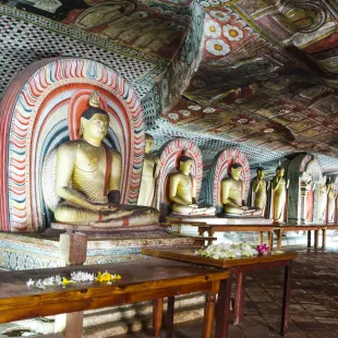 Interior of the Dambulla Golden Cave Temple with rows of golden Buddha statues and painted ceilings, Sri Lanka, South Asia.