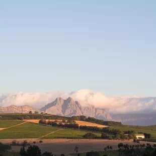 Landscape in Stellenbosch, Western Cape, South Africa, at sunset.