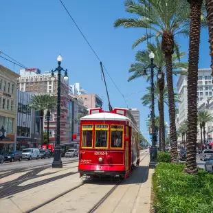 Red New Orleans Streetcar in motion along the downtown line along tall palm trees and street sidewalks