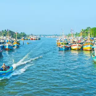 NEGOMBO, SRI LANKA the lagoon is the perfect place for the fishing port, the rows of ships moored at the shores