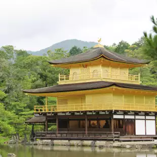 Golden ornate Japanese temple by the waterside and surrounded by green forests, Japan