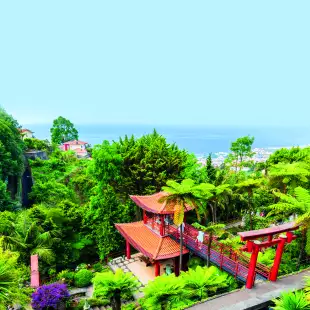 Overlook of Monte Palace Tropical Gardens