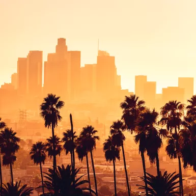 Palm tree silhouettes against the Los Angeles cityscape during golden hour