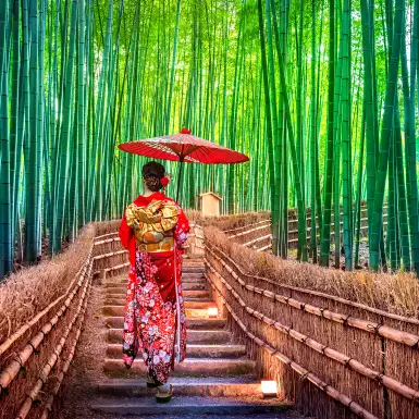 Bamboo Forest. Asian woman wearing japanese traditional kimono at Bamboo Forest in Kyoto, Japan.