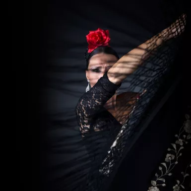 Young flamenco dancer in beautiful black dress on black background