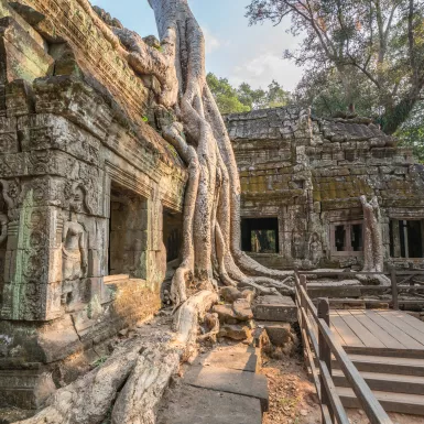 The ancient temple of Ta Prohm at Angkor Wat, Cambodia. Intertwining jungle trees roots and masonry ancient structures. 