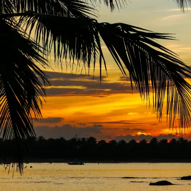 Sunset over the lovely Passikudah beach with silhouette of palm tree in Sri Lanka 