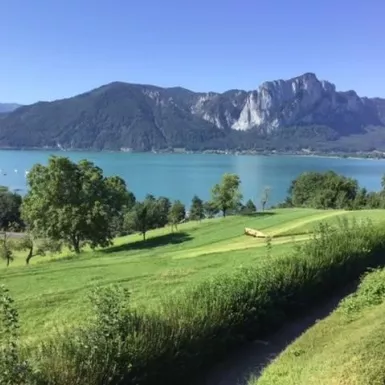 Beautiful scenery along the Danube River with lush landscape and mountains 