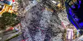 Aerial view of busy Shibuya crossing in Tokyo in-between large skyscrapers adorned with advertising screens, Japan