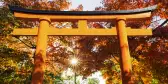 Top of a red Torii gate with Autumn Leaves in the Background