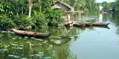 Small wooden boats on the Lotus Lake with lily pads in Mekong