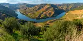 Green grass hills and valley with the Douro River near the village of Pinhao, Portugal