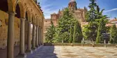 The cathedral of Salamanca and courtyard with fir trees in Salamanca, Spain
