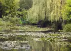 Lily pond at Monet's Garden in Giverny, France