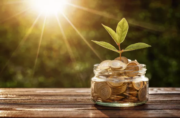 Small plant growing from jar full of coins