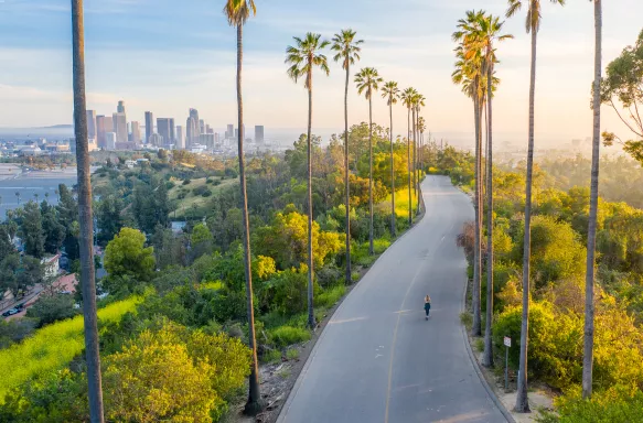 Drone shot of a woman walking down a streetwith tall palm trees, LA