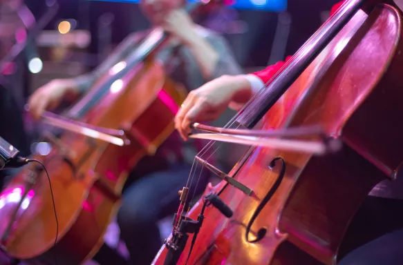 Close-up of a cello at a concert