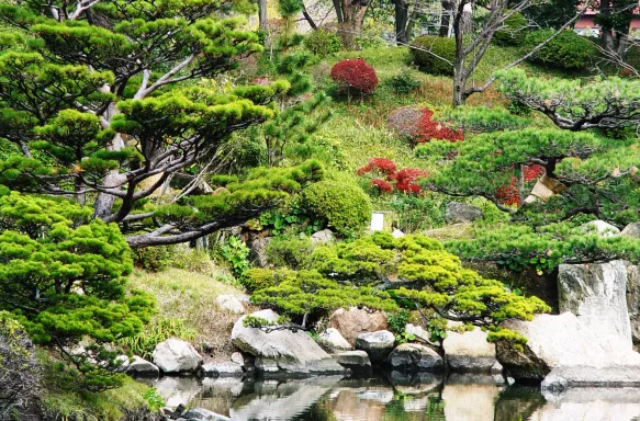 Hiroshima Shukkeien Gardens in Japan