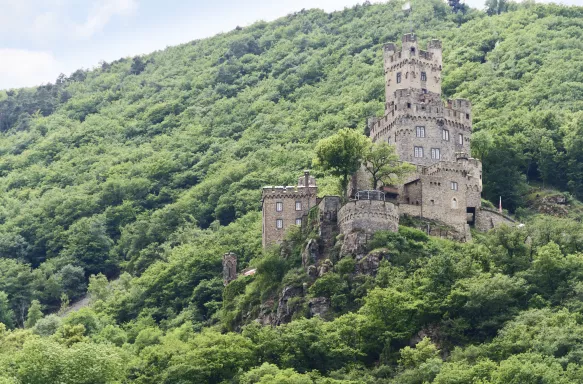 Reichenstein Castle surrounded by vegetation in Rhine Valley, Germany.