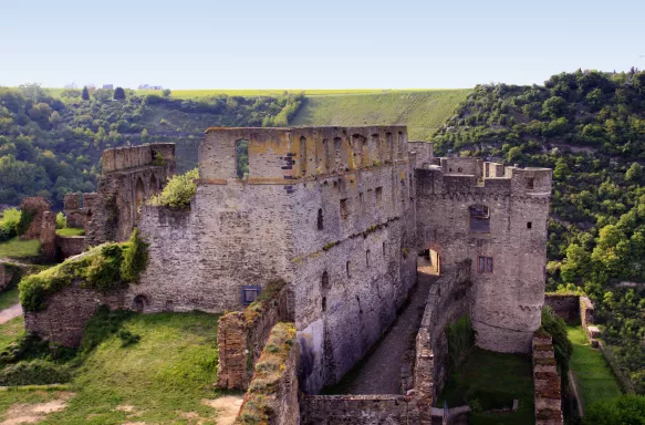 The Rheinfels Castle on a mountain ridge with vegetation in Sankt Goar, Germany