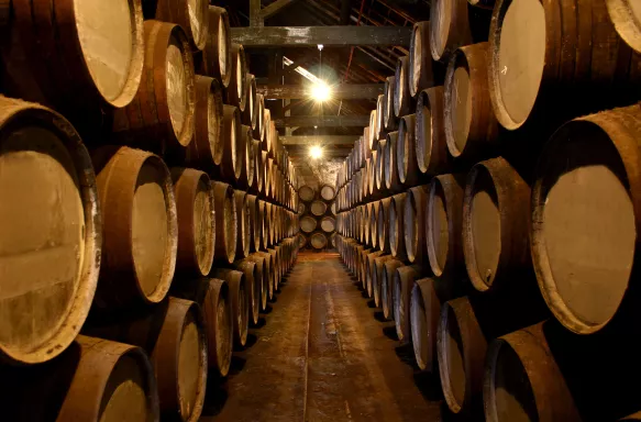 Interior of a Port Wine Cellar