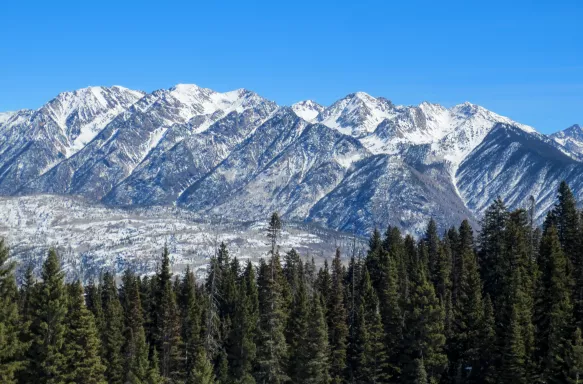 Rocky Mountains in Colorado. Pine trees and jagged, snowy mountain range.