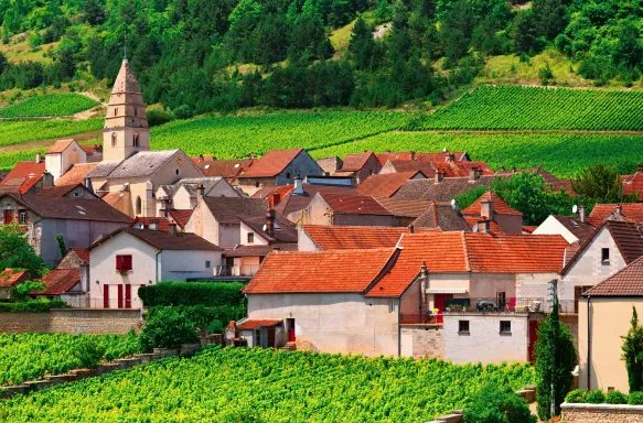 Burgundian Village with terracotta roofed white buildings in Burgundy, France