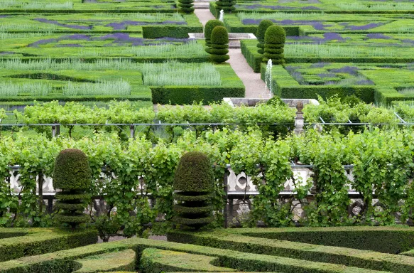 Gardens and Chateau de Villandry country house in Loire Valley, France