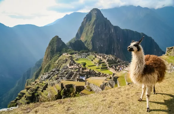 Llama in front of the ancient ruin, Machu Picchu, surrounded by mountains in Peru