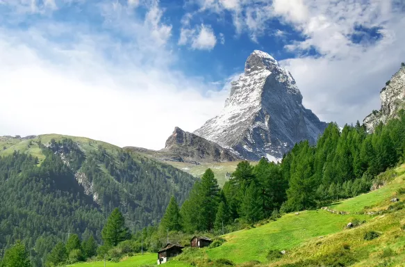 Forestry with a distant view of Matterhorn, a mountain of the Alps between Switzerland and Italy.