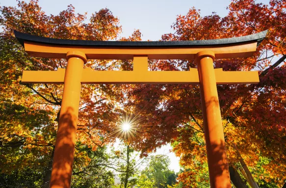Top of a red Torii gate with Autumn Leaves in the Background