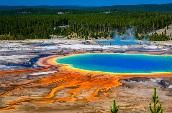 A section of the Grand Prismatic in Yellowstone National Park shows the spring with its unreal bright palette of colours.