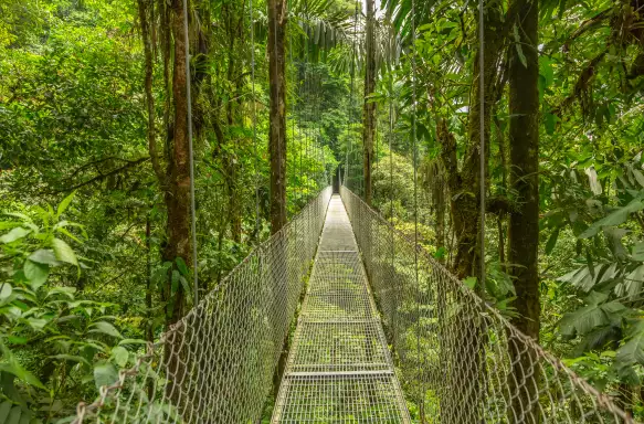 Hanging Bridge at natural rainforest park in Costa Rica